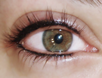 eyelinera